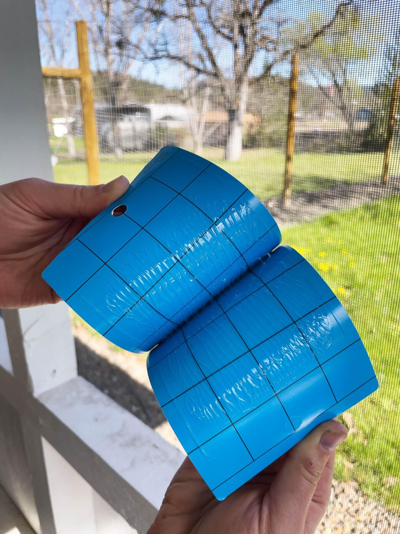 Blue Sticky Traps 10x25cm Double-Sided – Thrips Monitoring Cards for Greenhouse IPM (Wholesale/OEM) 1 Blue Sticky Traps 10x25cm Double-Sided – Thrips Monitoring Cards for Greenhouse IPM (Wholesale/OEM)