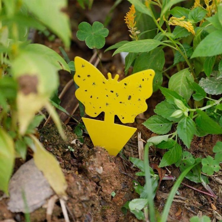 Decorative Sticky Trap Panels for Garden Centres and Indoor Green Spaces 2 Butterfly-shaped yellow sticky trap panel placed in garden soil among plants