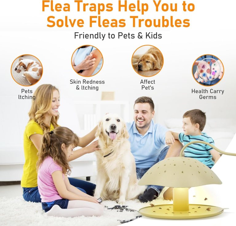 Flea Trap Refill Pad: 5 Essential Tips for Professional Domestic Pest Control