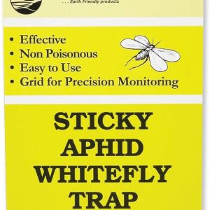 Large Format Yellow Sticky Board 30x40cm Double-Sided Mass Trapping | Bulk Commercial Greenhouse Sourcing