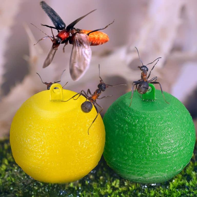 How to Choose High-Efficiency Refills Compatible with Zevo Flying Insect Trap