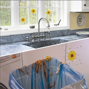 Decorative Window Fly Trap — Printed PET Fly Decal for Cafés, Hotels & Retail (Wholesale/OEM)