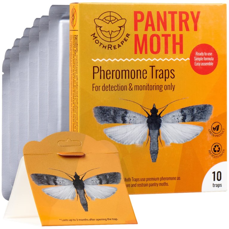 Pantry Moth Pheromone Trap – 90-Day Slow-Release Lure – Wholesale OEM Factory