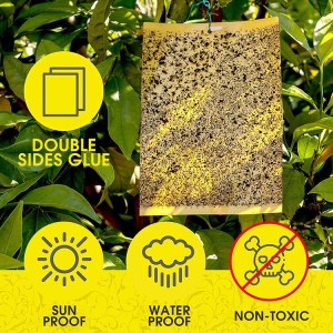 Tree Banding Tape Installation Guide | Shandong NongZhiWang 2 tree band product 1