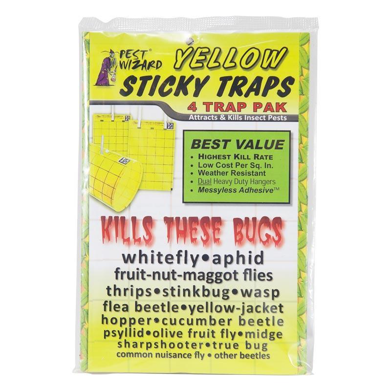 yellow sticky trap greenhouse ipm