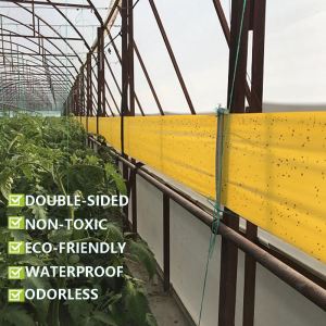 Yellow double-sided sticky insect tape roll installed as a barrier in a greenhouse