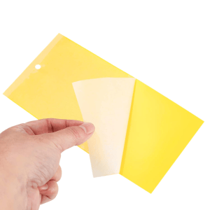 Double-sided yellow sticky insect trap card with hanging hole and peel-off release liner for greenhouse monitoring