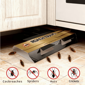 Foldable cockroach glue trap board placed under a commercial kitchen cabinet for roach monitoring