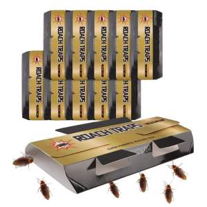 Stacked folded cockroach glue trap panels with non-toxic sticky surface for kitchen and food factory roach monitoring