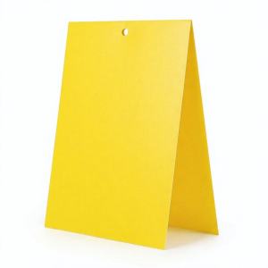 Double-sided yellow sticky monitoring board standing in A-frame with hanging hole for orchard and greenhouse pest control