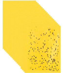 Stack of yellow sticky monitoring cards with trapped flying insects for greenhouse IPM