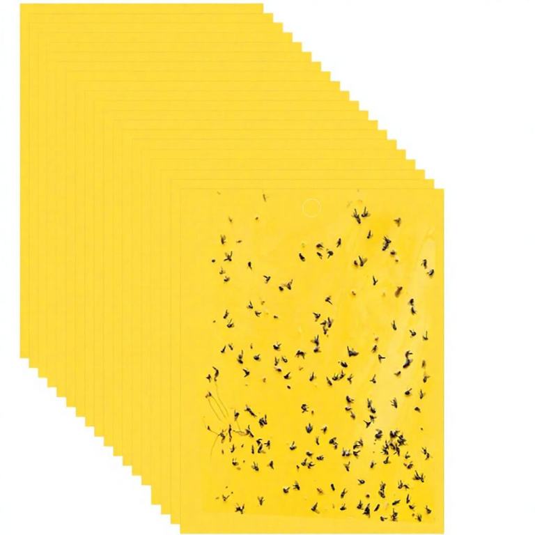 Stack of yellow sticky monitoring cards with trapped flying insects for greenhouse IPM